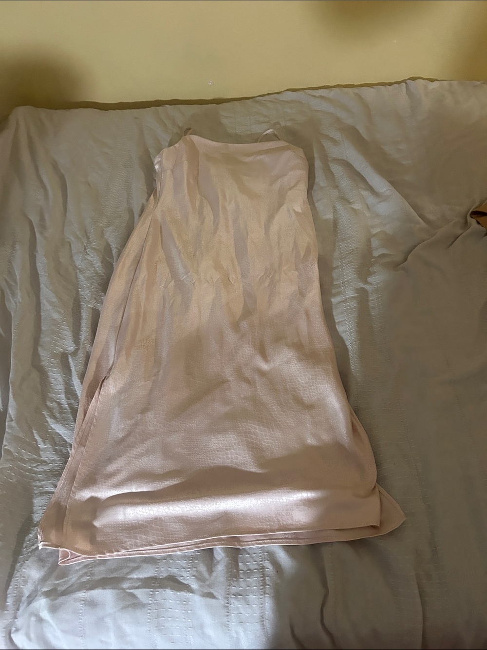 Express Pale Pink Maxi Slip Dress